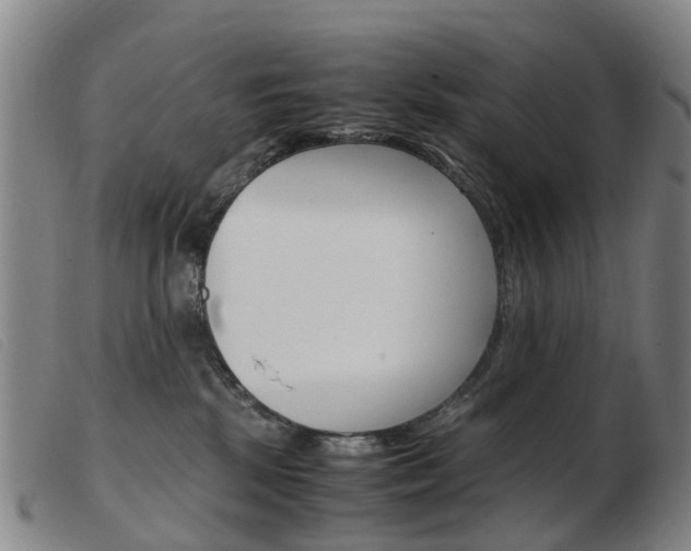 X0000103940281200809191154