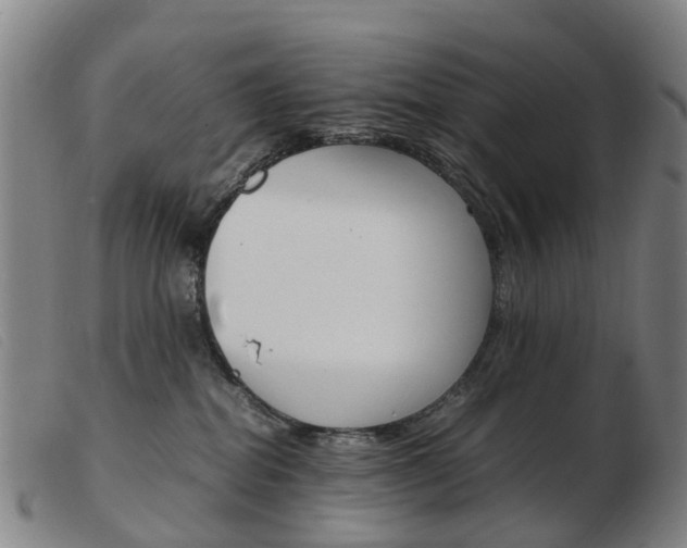 X0000103940282200809191154