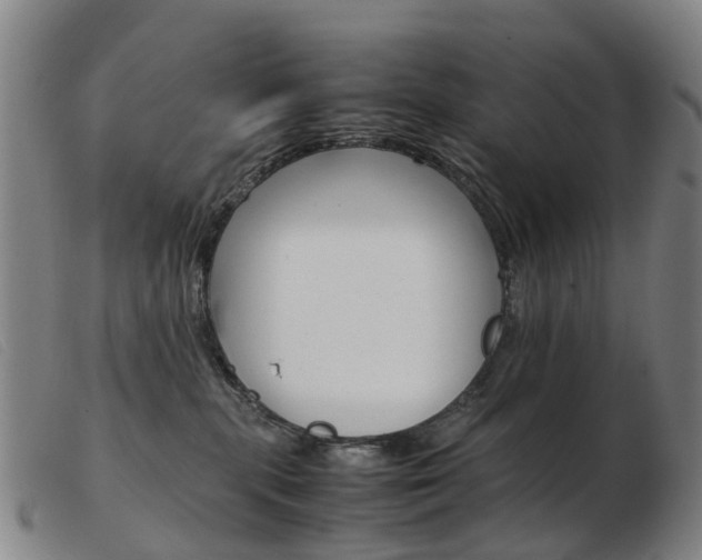 X0000103940283200809191154