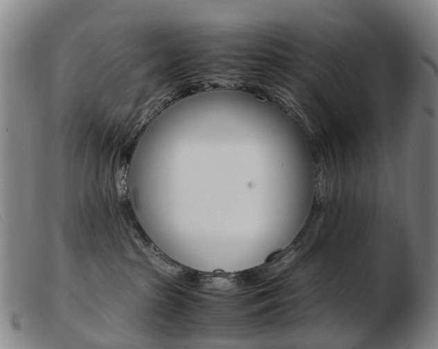 X0000103940285200809191154
