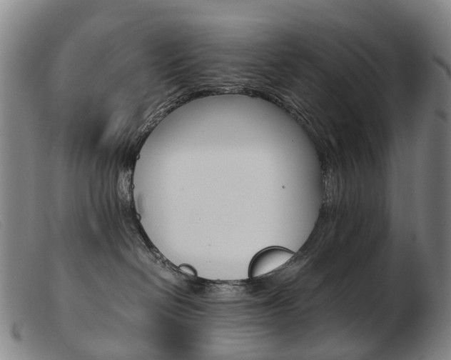 X0000103940286200809191154