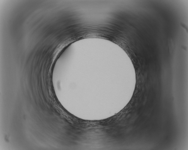 X0000103940289200809191154