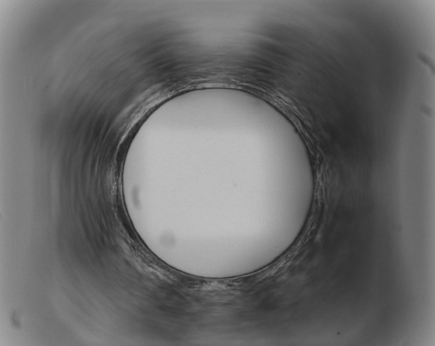 X0000103940290200809191154