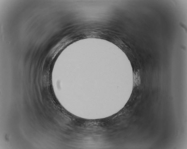 X0000103940291200809191154