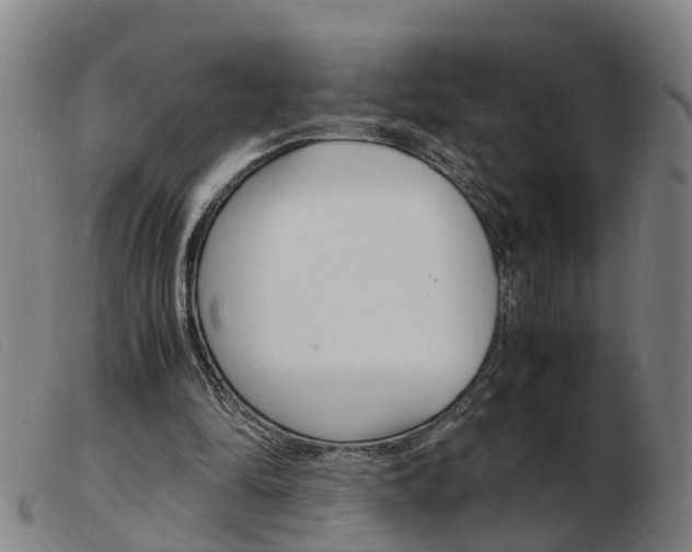 X0000103940294200809191154
