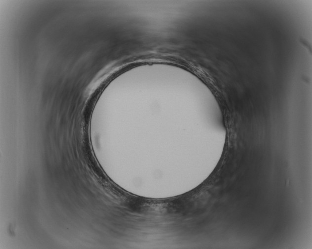 X0000103940295200809191154