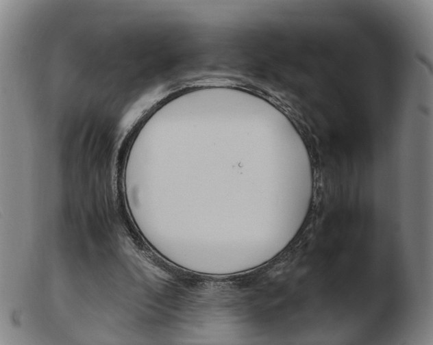 X0000103940296200809191154