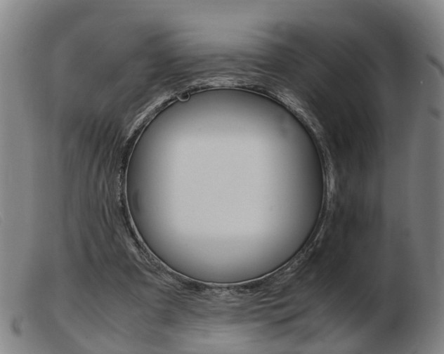 X0000103940297200809191154
