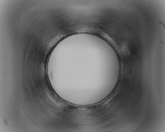 X0000103940298200809191154