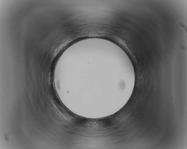 X0000103940299200809191154