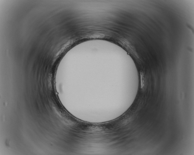 X0000103940300200809191154