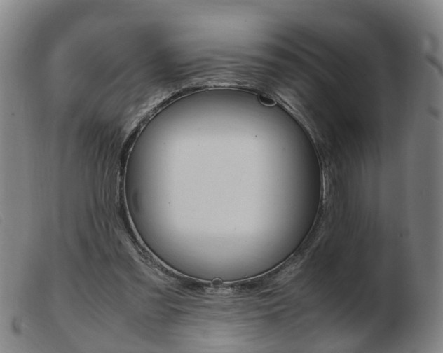 X0000103940301200809191154