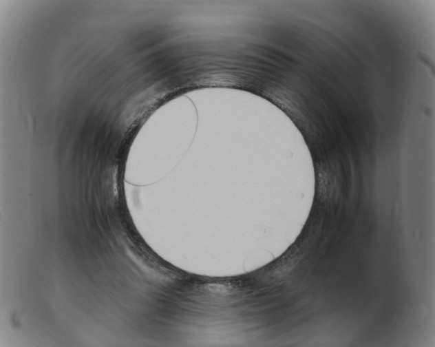X0000103940302200809191154