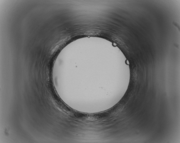 X0000103940303200809191154
