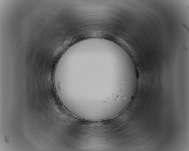 X0000103940306200809191154