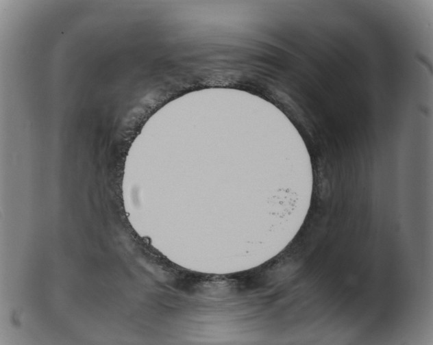 X0000103940307200809191154
