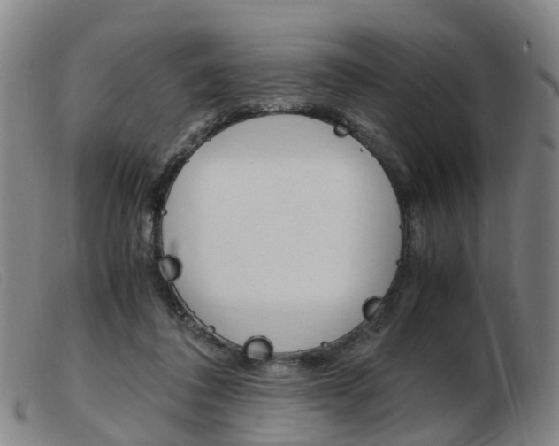 X0000103940308200809191154