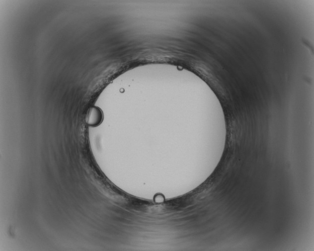X0000103940309200809191154