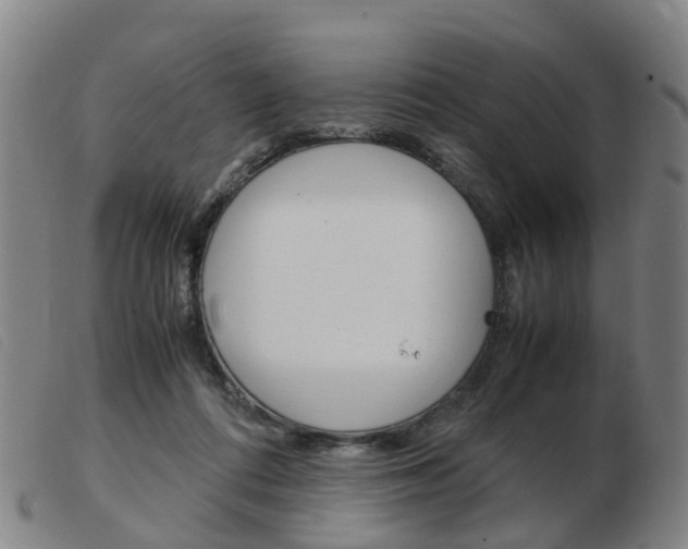 X0000103940312200809191153