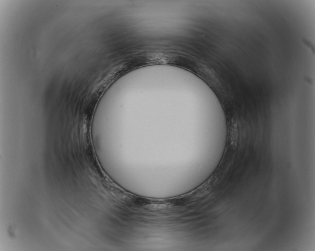 X0000103940314200809191153