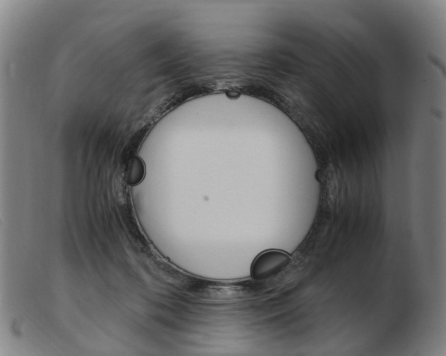 X0000103940316200809191153