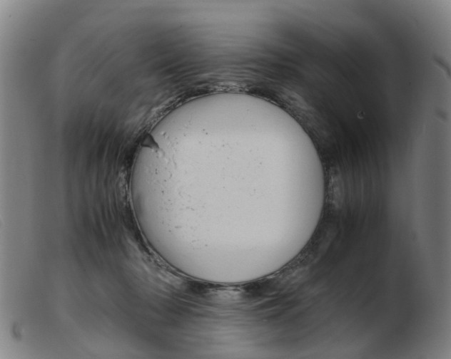 X0000103940318200809191153