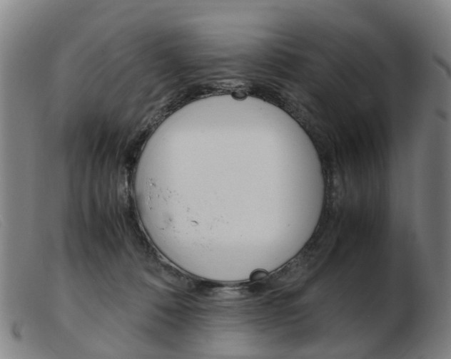 X0000103940320200809191153