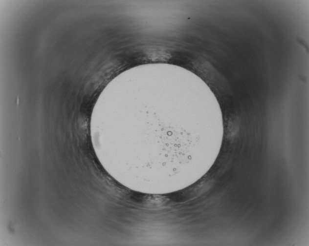 X0000103940321200809191153