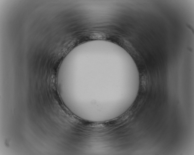 X0000103940322200809191153