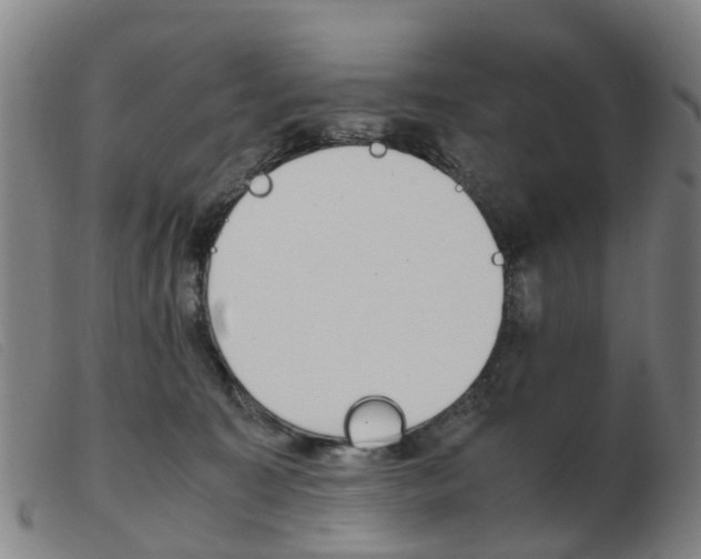 X0000103940323200809191153