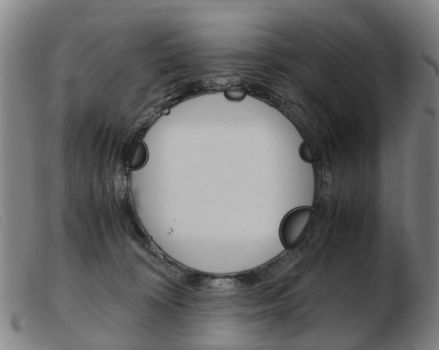 X0000103940324200809191153
