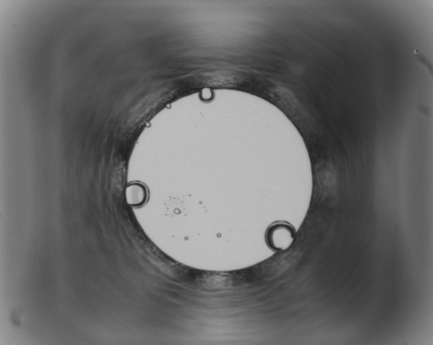 X0000103940325200809191153