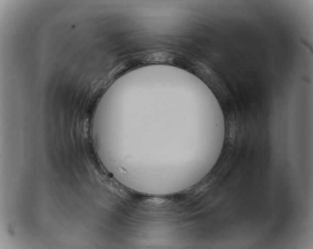 X0000103940326200809191153