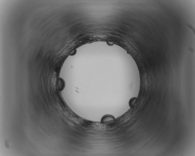 X0000103940328200809191153