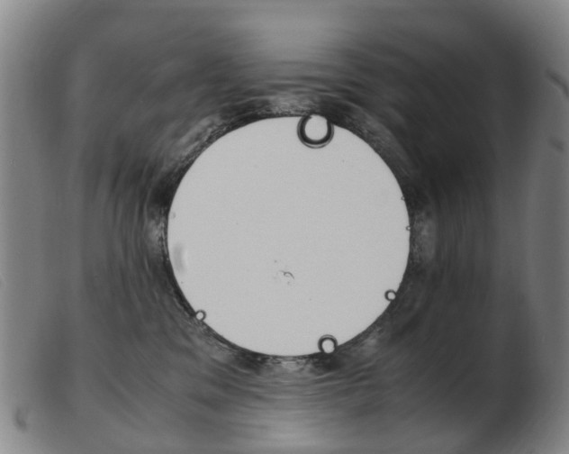 X0000103940329200809191153