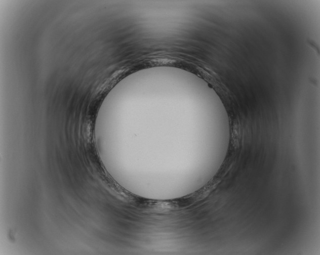 X0000103940330200809191153
