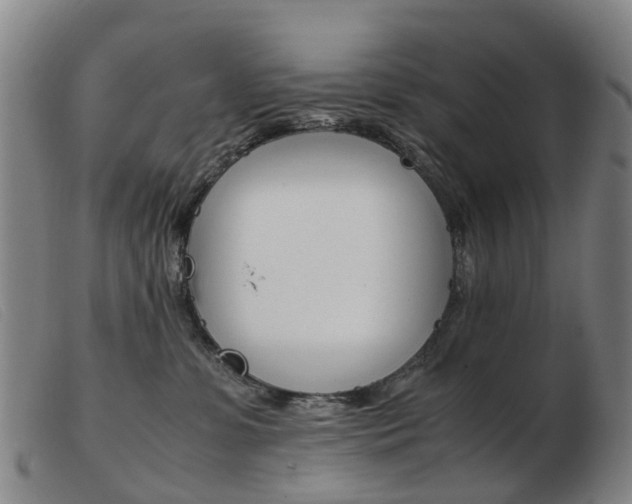 X0000103940331200809191153