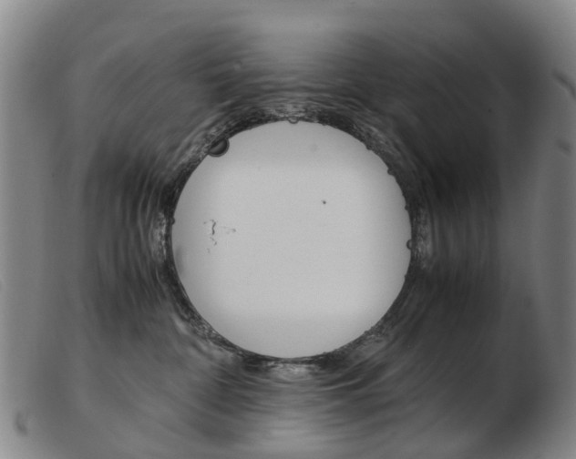 X0000103940332200809191153