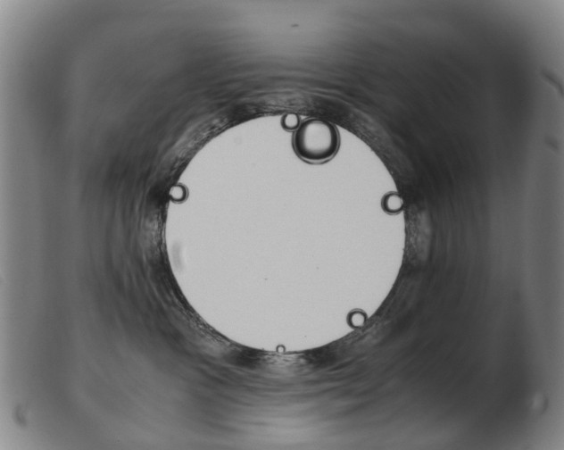 X0000103940333200809191153