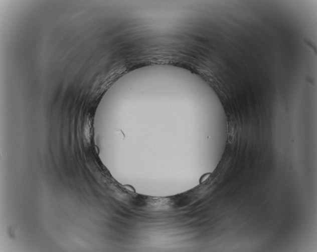 X0000103940334200809191153