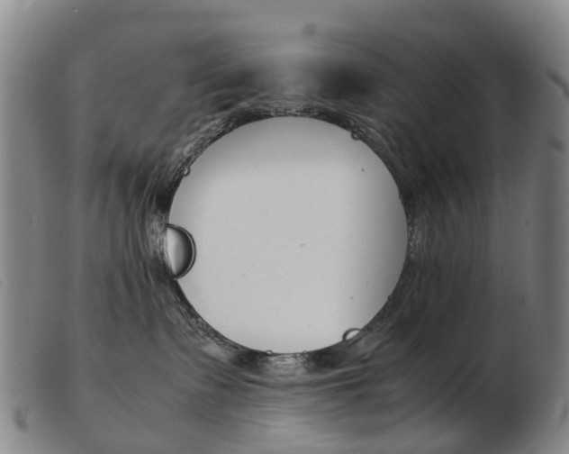 X0000103940335200809191153