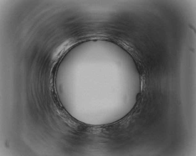 X0000103940339200809191152