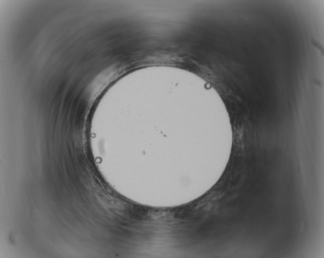 X0000103940340200809191152