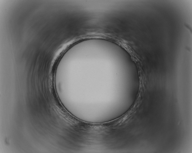 X0000103940342200809191152
