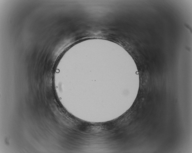 X0000103940344200809191153