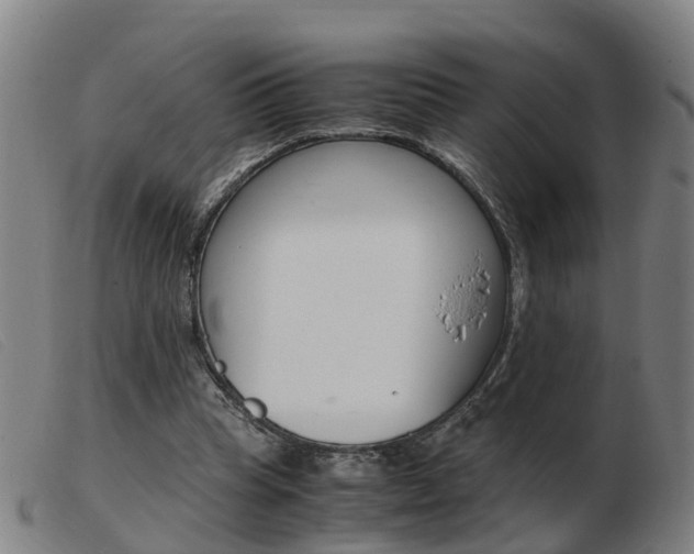 X0000103940345200809191153