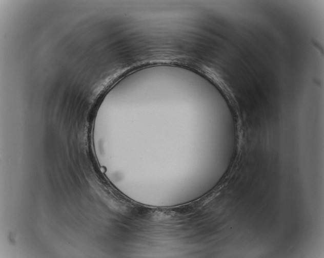 X0000103940346200809191153