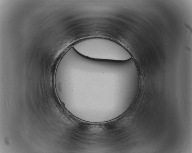 X0000103940347200809191153