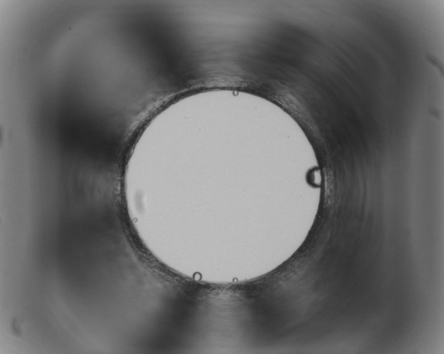 X0000103940348200809191153