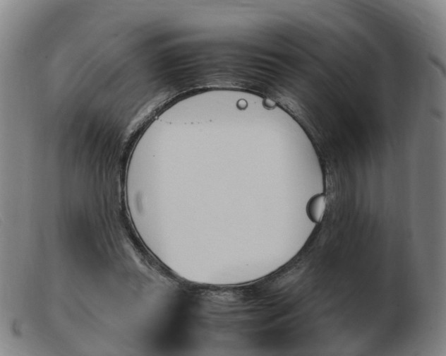 X0000103940349200809191153